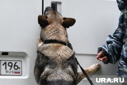 Мужчину задержали на трассе 