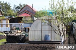 Теплица обязательно должна стоять в хорошо освещенном месте