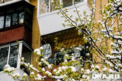 Больше всего снега выпало в Черепановском районе