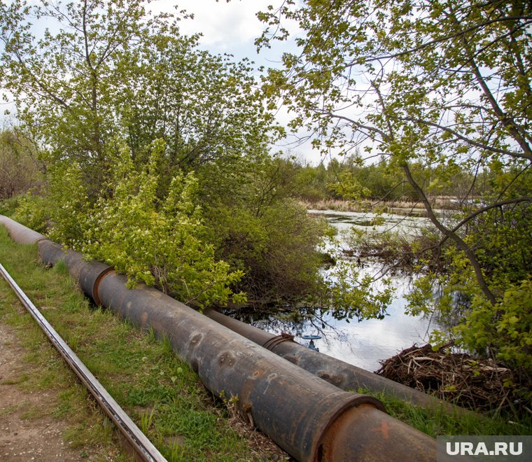 Нелегальный нефтепровод обнаружила природоохранная прокуратура в лесу ХМАО