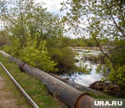Нелегальный нефтепровод обнаружила природоохранная прокуратура в лесу ХМАО