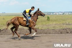 Власти рассчитывают привлечь к проекту коневодов