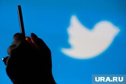 Птицу, находившуюся на здании штаб-квартиры соцсети Twitter, отдали неизвестному предпринимателю