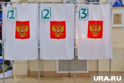 На выборы в Курганской области в 2025 году допущены 582 кандидата