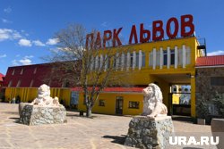Состояние Зубкова, на которого напал лев, удалось стабилизировать