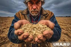 Ситуация с урожаем зерна в южных регионах из-за засухи критическая, подчеркнул Анатолий Тихонов