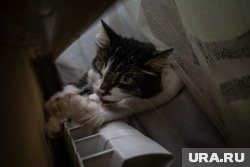 Батареи могут не прогреваться, если трубы засорены