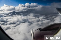 Дочь попросила мать вернуться домой, чтобы помочь с детьми
