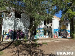  Здания портят внешний вид уникального памятника природы, считает Лошкин 