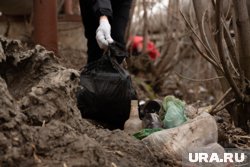 В ЯНАО приехали волонтеры из России и Белоруссии