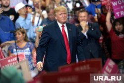 Сатирик предстанет перед судом после шутки о покушении на Трампа