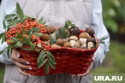 Август и сентябрь самое грибное время
