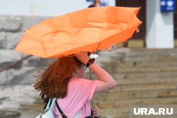 Днем в Пермском крае ожидаются порывы ветра до 14 м/с