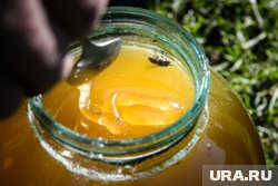 Мошенницы обманывали пенсионерок в Югре, предлагая купить мед