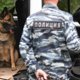 Побег арестантов, избиение тренера, новые трамваи для Екатеринбурга: 8 свердловских событий недели