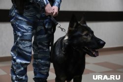 Полиция нашла у надымчанки наркотики (архивное фото)