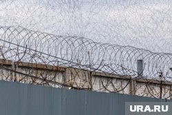 Суд приговорил москвича за убийство девушки в Подольске к 24 годам колонии строго режима