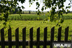Россиянам, работающим в огороде, следует соблюдать меры предосторожности