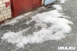 Пыльца растений и тополиный пух чаще всего вызывают аллергию у молодых челябинцев