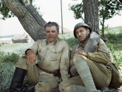 Фильм «Они сражались за Родину» вышел 12 мая 1975 года