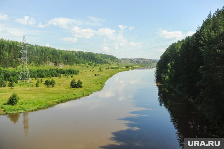 Тело в реке нашли очевидцы
