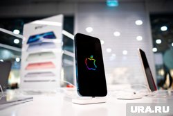 Новый iPhone 16 доступен в Тюмени пока только по предзаказу 