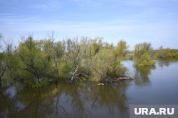Вода в Абатском районе за сутки поднялась на 103 см