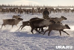 Самые разные праздники отмечаются 9 августа 2025 года