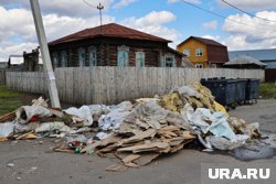 Курганцы жалуются, что не весь мусор был вывезен (архивное фото)