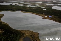 Ученые подвели итоги летней экспедиции на Ямал 