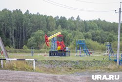 Нефтедобывающие компании Пермского края сократили налоговые выплаты