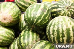 Арбузы подорожали на 5,6%