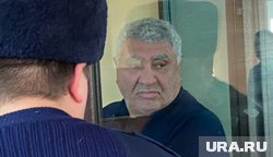 Эдику Аракеляну утвердили условный срок