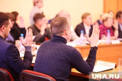 Депутаты проголосуют за нового мэра Кургана 14 мая