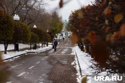Синоптики предупредили о выпадении снега