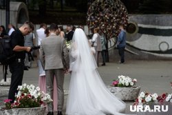 Тюменцы предлагают веселить гостей на свадьбе 