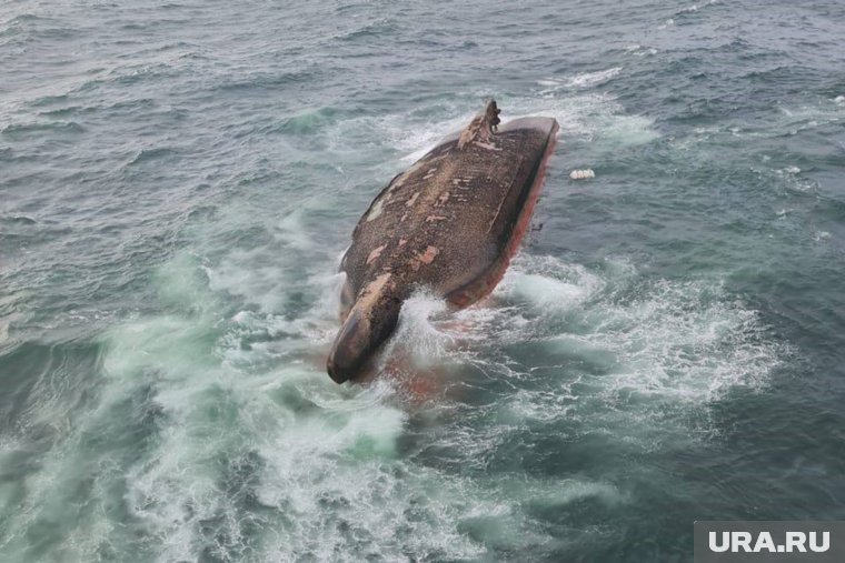 Оказавшись в шестиградусной воде, моряк Иван Грибачев сразу поплыл к перевернувшемуся судну