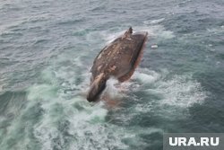 Оказавшись в шестиградусной воде, моряк Иван Грибачев сразу поплыл к перевернувшемуся судну