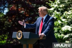 Трамп пожал руку Двалишвили после защиты титула
