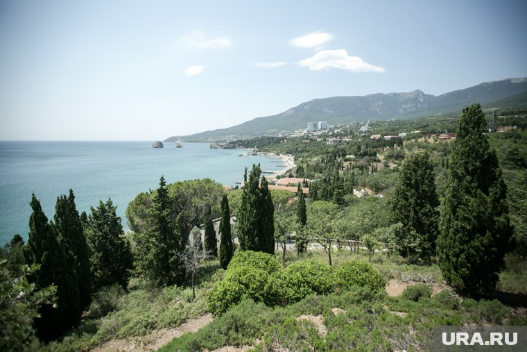 В Крыму готовят режим угрозы ЧС из-за гибели урожая черешни, персика и сливы