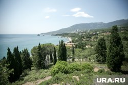 В Крыму готовят режим угрозы ЧС из-за гибели урожая черешни, персика и сливы