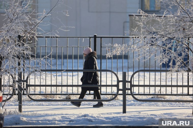 В Курганской области ночью 2 января похолодает до минус 16 градусов