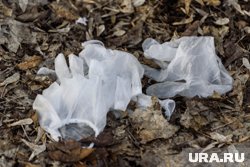 Эксперты не нашли никаких повреждений половых органов и заднепроходного отверстия погибшей