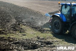 Зарплаты в отрасли за год выросли на 7%