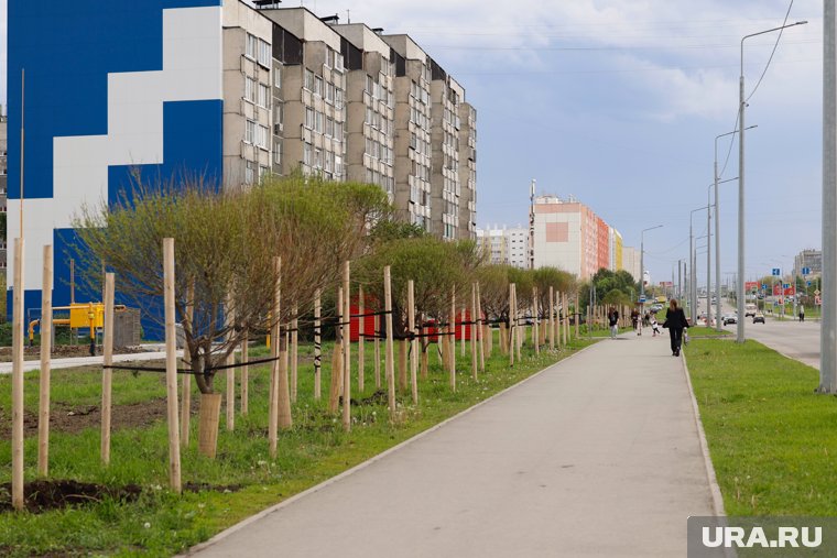 На Мальцева снова высадили ивы — и опять промахнулись с высотой