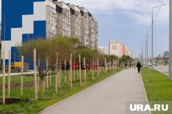 На Мальцева снова высадили ивы — и опять промахнулись с высотой
