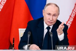 Россию и ОАЭ многое связывает, заявил президент Владимир Путин