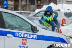 По данным ГАИ Челябинска пострадавшие жители получили травмы