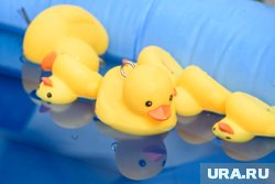 По всему миру 5 июня празднуют день резиновых уточек в ванной