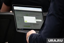 Курганцев пригласили написать статистический онлайн-диктант 